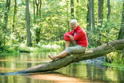 Im Naturpark Südheide