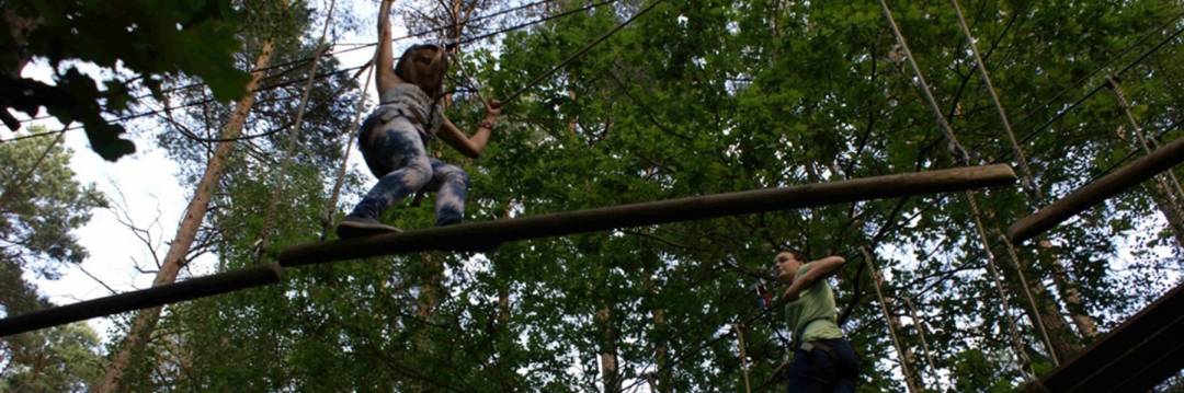 Parkour im TreeTrek Bad Bevensen