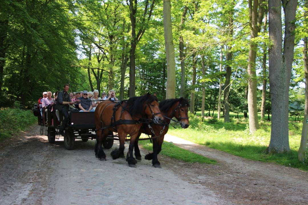 Kutschfahrt vom Ferienhof Heins