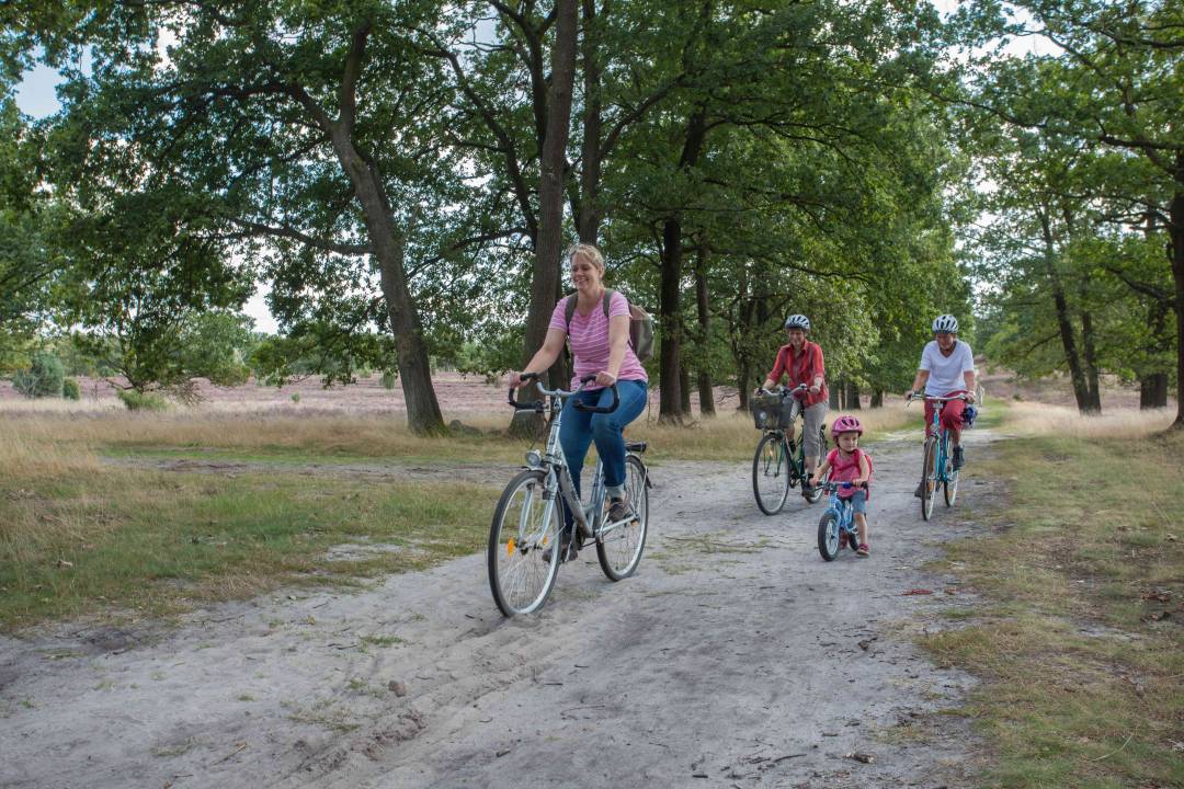 heide bürgerhaus fahrrad 20.03.2019