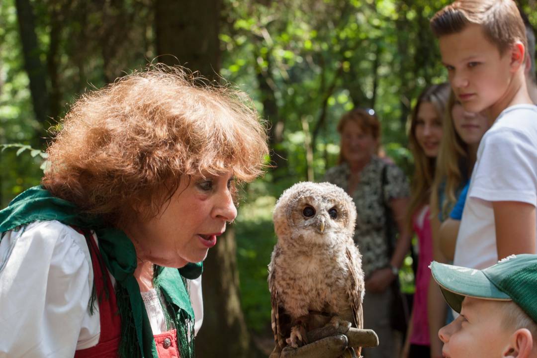 Greifvogel-Gehege Bispingen