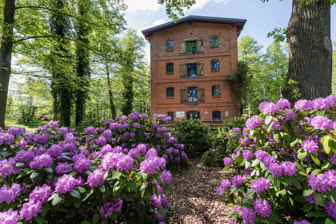 Wassermühle in Müden/Örtze