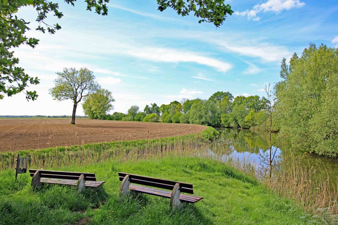 Neetze bei Thomasburg, Elbufer-Drawehn