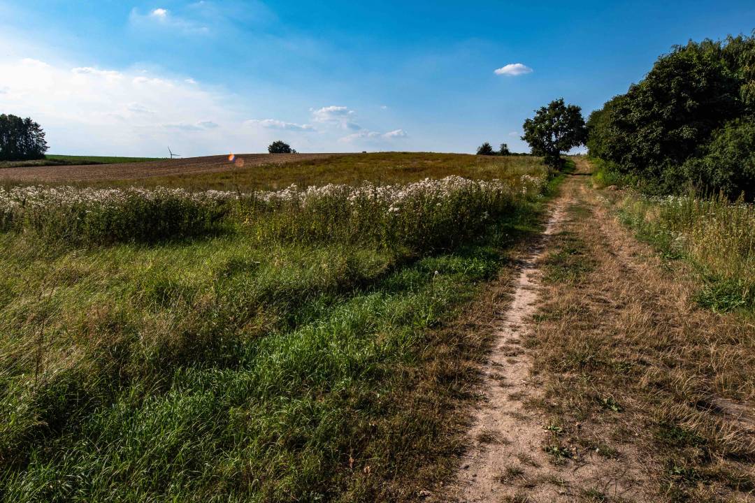 Landschaft bei Schweimke