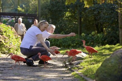 Weltvogelpark Walsrode