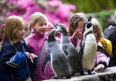 Weltvogelpark Walsrode