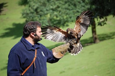 Flugshow im Wildpark Schwarze Berge