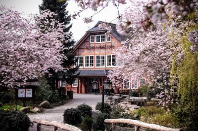 Restaurant im Wildpark