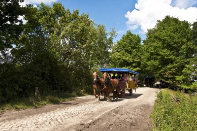 Kutschfahrten Meyer, Lüneburger Heide