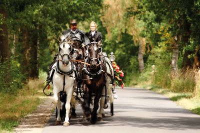 Kutschfahrten Meyer, Schneverdingen