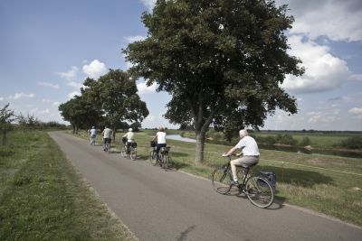 Aller-Radweg im Aller-Leine-Tal