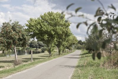 Der Aller-Radweg im Aller-Leine-Tal