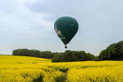 Ballonfahrt über einem Rapsfeld