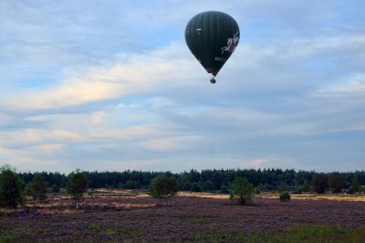 Heißluftballon über der Heide