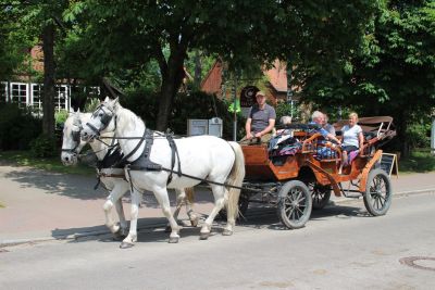 Kutschfahrt vom Ferienhof Heins