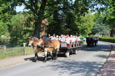 Kutschfahrt vom Ferienhof Heins