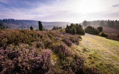 Totengrund in der Nähe vom Wilseder Berg