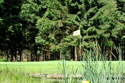 Ein gepflegtes Green im Golfpark Soltau