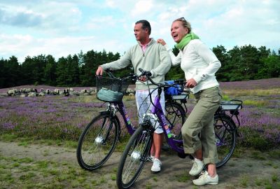 Hausgäste fahren mit Ihren Fahrrädern durch die blühende Heide.