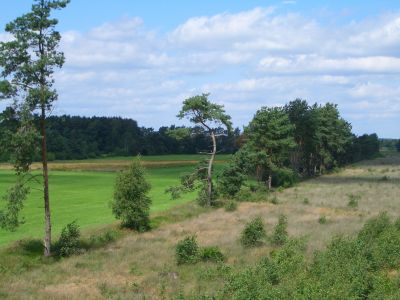 Der Blick vom Heinrich-Eggers-Aussichtsturm im Becklinger Moor