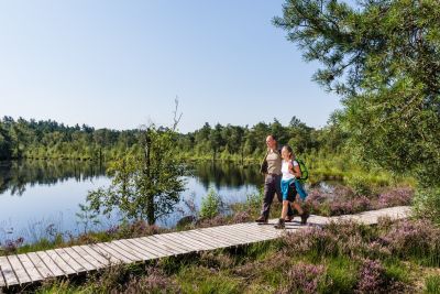 Wanderweg bei Schwarmstedt