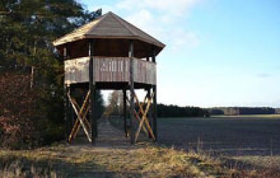 Heide-Erlebnispfad Neuenkirchen