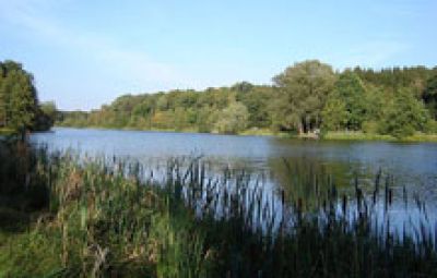 Aller-Radweg im Aller-Leine-Tal