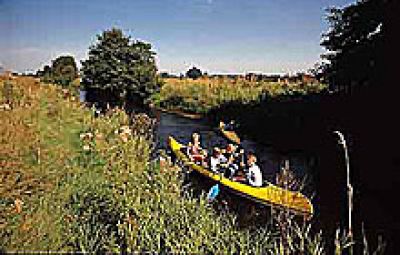 Aller-Radweg im Aller-Leine-Tal