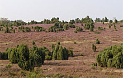 Der Aller-Radweg im Aller-Leine-Tal