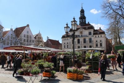 Wochenmarkt Lüneburger Altstadt