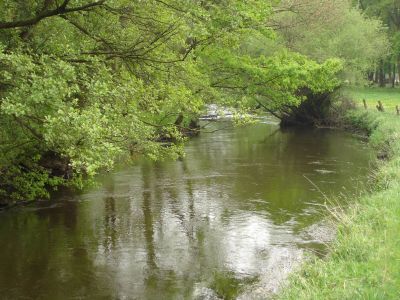 Örtze bei Eversen, Südheide