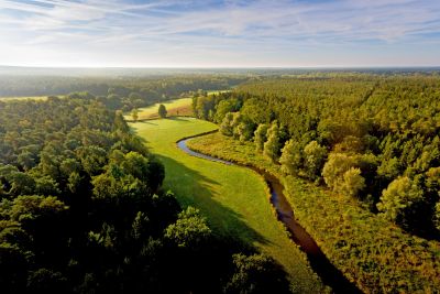 Fluss Örtze im Naturpark Südheide