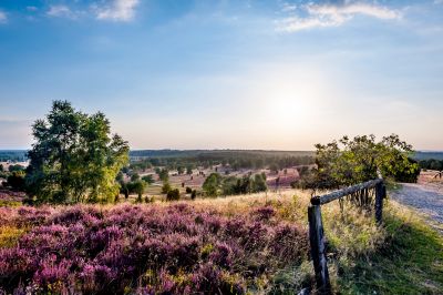 Wilseder Berg, Lüneburger Heide