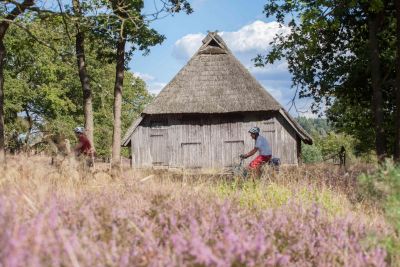 Radfahrer in der Lüneburger Heide