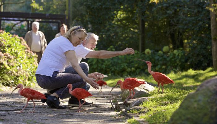 Weltvogelpark Walsrode