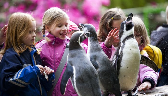 Weltvogelpark Walsrode