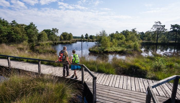 Das Pietzmoor bei Schneverdingen