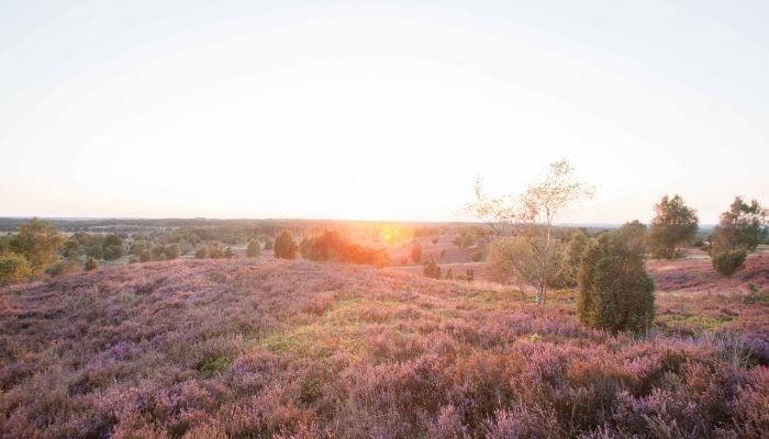 Naturpark Lüneburger Heide