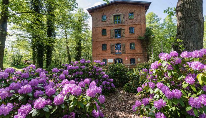 Wassermühle in Müden/Örtze