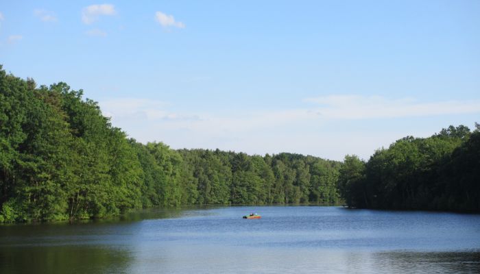 Lopausee bei Amelinghausen