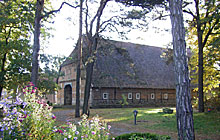 Bockwindmühle in Rethem